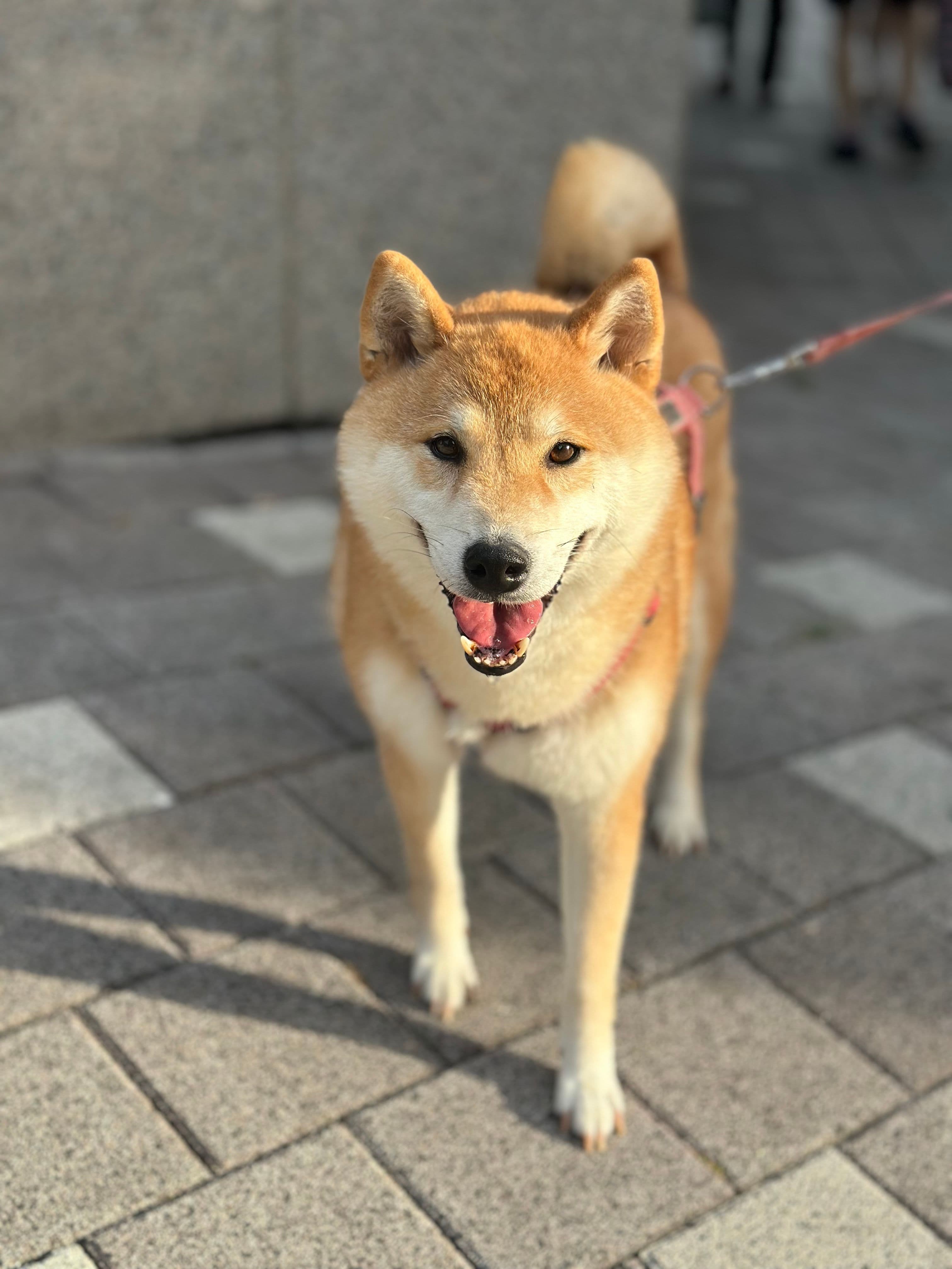 길산