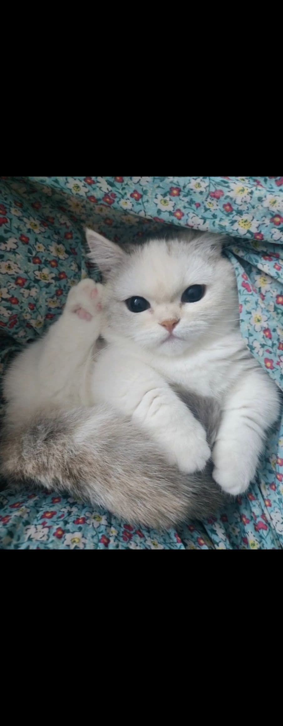 루스