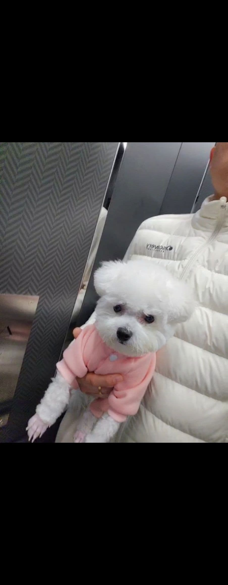 메라